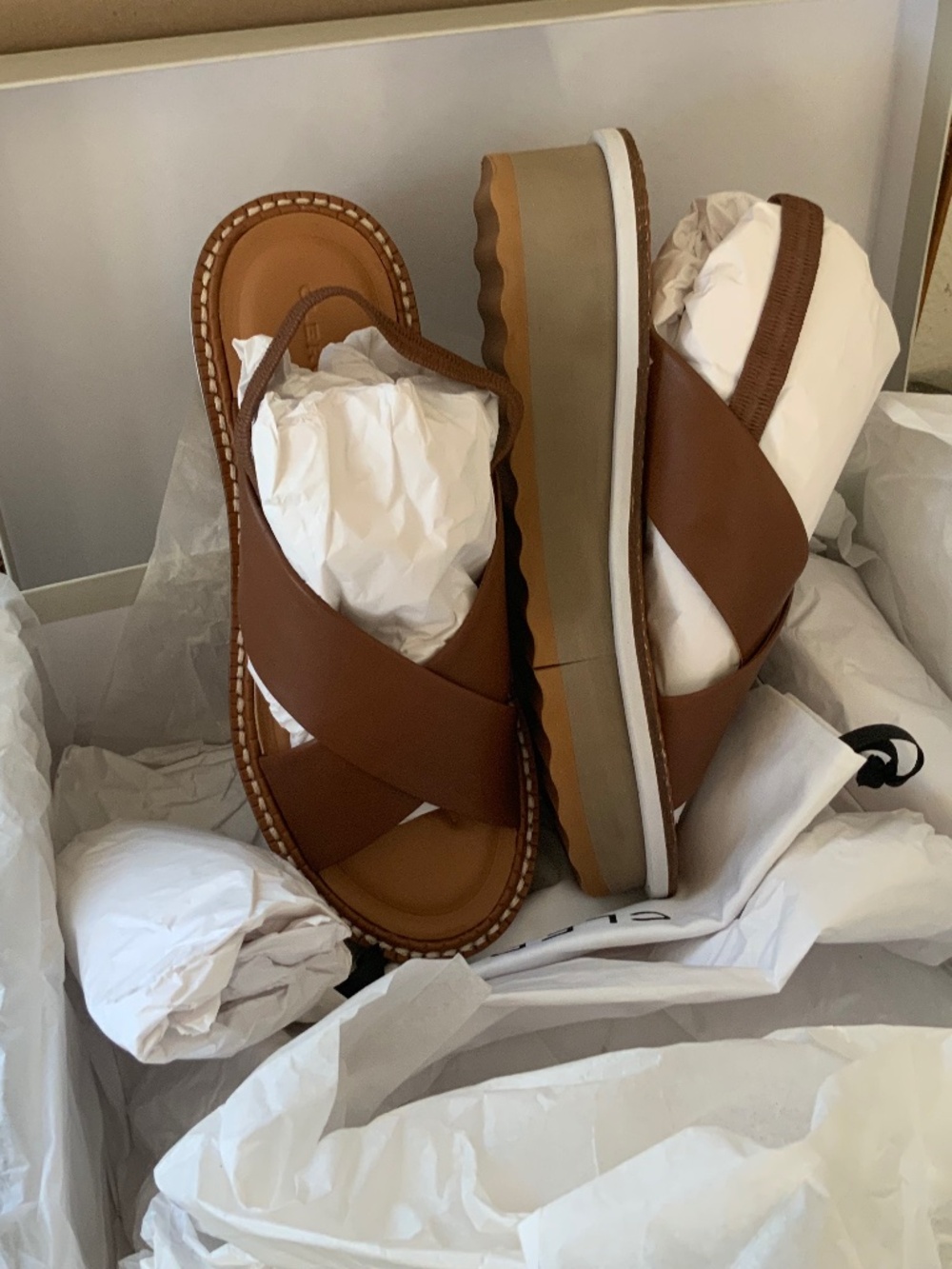 Robert Clergerie Brown Leather Platform Sandals, New In Box, Sz 40.5 (9.5)